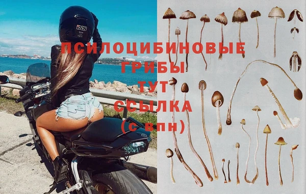 прущие крисы Абинск
