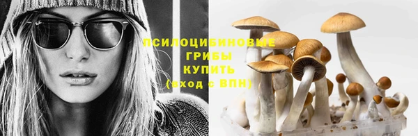 mdpv Абаза