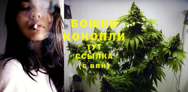 ГАЛЛЮЦИНОГЕННЫЕ ГРИБЫ Абдулино